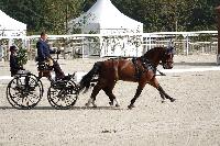 Photo n 52067&#10;Le PIN CdM 2 chx photo PIXELVISUEL&#10;&#10;Affiche 12 fois&#10;Ajoute le 29/09/2023 08:30:54 par JeanClaudeGrognet&#10;&#10;--> Cliquer pour agrandir <--