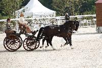 Photo n 52070&#10;Le PIN CdM 2 chx photo PIXELVISUEL&#10;&#10;Affiche 8 fois&#10;Ajoute le 30/09/2023 08:19:02 par JeanClaudeGrognet&#10;&#10;--> Cliquer pour agrandir <--