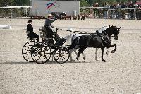 Photo n 52071&#10;Le PIN CdM 2 chx photo PIXELVISUEL&#10;&#10;Affiche 10 fois&#10;Ajoute le 30/09/2023 08:19:02 par JeanClaudeGrognet&#10;&#10;--> Cliquer pour agrandir <--