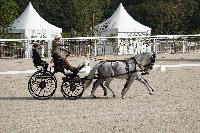 Photo n 52072&#10;Le PIN CdM 2 chx photo PIXELVISUEL&#10;&#10;Affiche 11 fois&#10;Ajoute le 30/09/2023 08:19:02 par JeanClaudeGrognet&#10;&#10;--> Cliquer pour agrandir <--