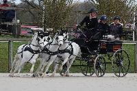 Photo n 53057&#10;Au petit bonheur des fonds d'cran&#10;Louise Fillon photo PixelVisuel&#10;Affiche 13 fois&#10;Ajoute le 13/04/2024 08:13:32 par JeanClaudeGrognet&#10;&#10;--> Cliquer pour agrandir <--