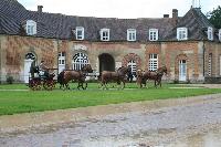 Photo n 53063&#10;Au petit bonheur des fonds d'cran&#10;Pascal Hdiger attelage de 6 Franches-Montagnes au haras du Pin&#10;Affiche 4 fois&#10;Ajoute le 17/04/2024 08:11:10 par JeanClaudeGrognet&#10;&#10;--> Cliquer pour agrandir <--