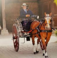 Photo n 53067&#10;Au petit bonheur des fonds d'cran&#10;Attelage de Tradition&#10;Affiche 3 fois&#10;Ajoute le 17/04/2024 08:11:10 par JeanClaudeGrognet&#10;&#10;--> Cliquer pour agrandir <--