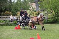 Photo n 53464&#10;SAINT SIFFRET 2024 Centre Equestre CENTAURE d'UZES&#10;&#10;Affiche 4 fois&#10;Ajoute le 09/05/2024 19:13:23 par JeanClaudeGrognet&#10;&#10;--> Cliquer pour agrandir <--