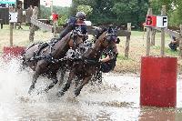 Photo n 53891&#10;CAI CHABLIS 2024 photo PixelVisuel&#10;Antoine Jeanson&#10;Affiche 6 fois&#10;Ajoute le 18/08/2024 08:09:23 par JeanClaudeGrognet&#10;&#10;--> Cliquer pour agrandir <--