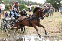 Photo n 53895&#10;CAI CHABLIS 2024 photo PixelVisuel&#10;Cline Copin&#10;Affiche 10 fois&#10;Ajoute le 18/08/2024 08:09:23 par JeanClaudeGrognet&#10;&#10;--> Cliquer pour agrandir <--